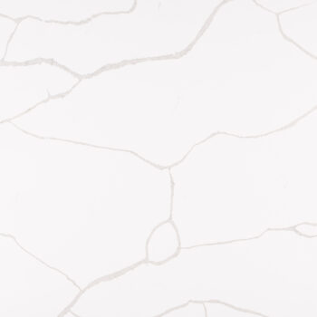 Calacatta Classique – MSI Surfaces