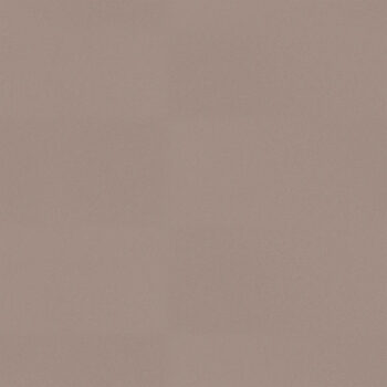 Dim Gray Glance Cabecera 1