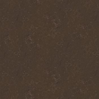 Imerial Pulido Cabecera