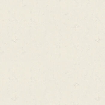 Perlino Pulido Cabecera 1