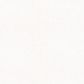 Zement White Cabecera