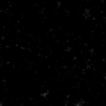 Absolute Noir - Caesarstone Quartz