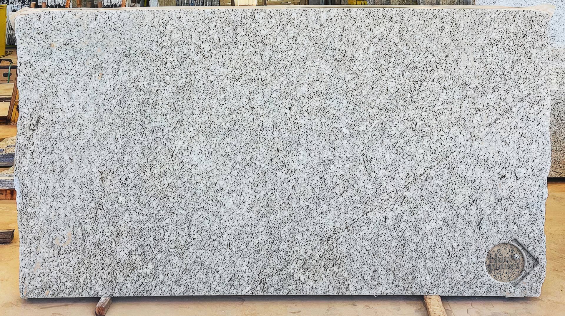 Giallo Ornamental - Blue Planet
