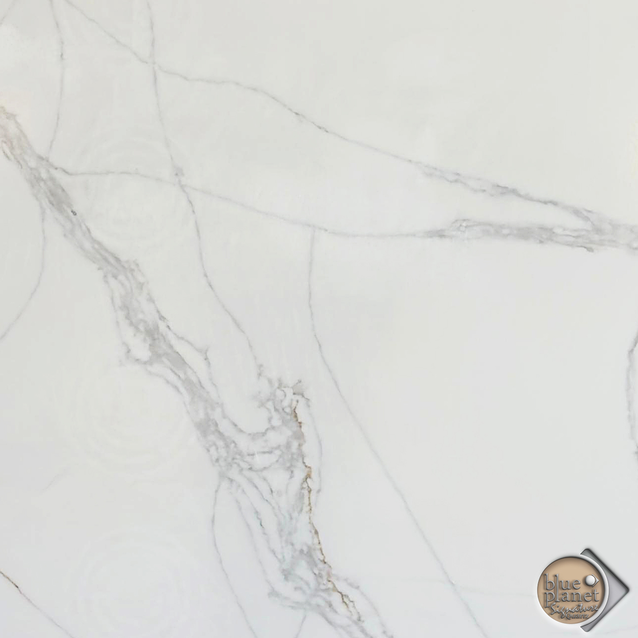 Calcatta Camario Quartz - Blue Planet