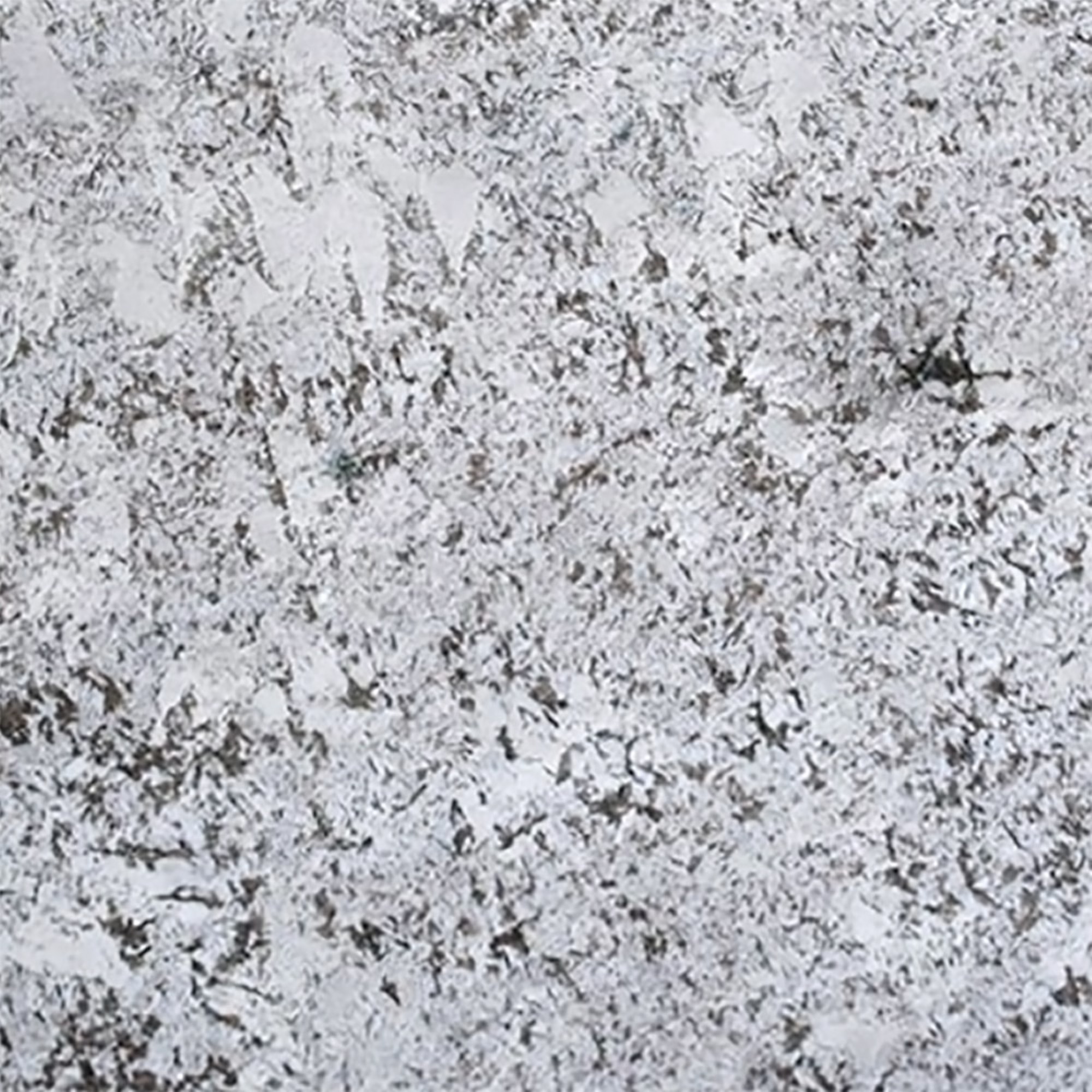 Bianco Antico - Genrose Stone and Tile