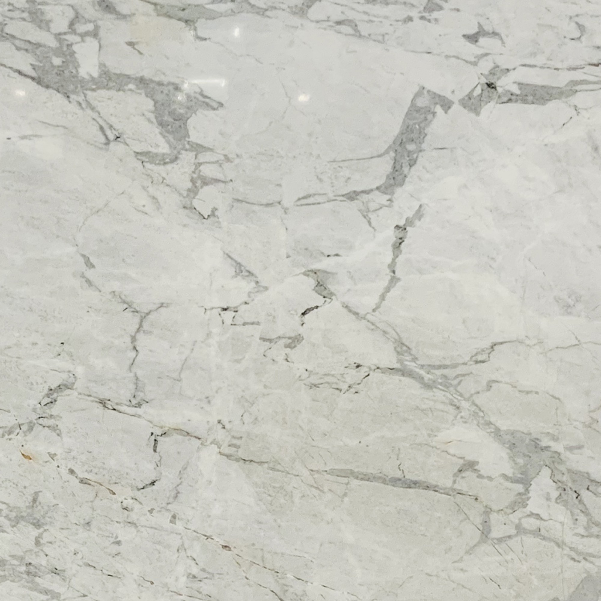 Calacatta Brazil - Genrose Stone and Tile