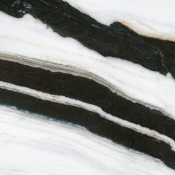 Panda White - Infinity Porcelain