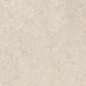 Palladium Ivory - Infinity Porcelain