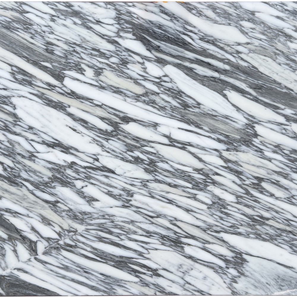Arabescato Corchia - Genrose Stone and Tile