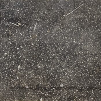 Pietra Di Erfoud – Genrose Stone and Tile