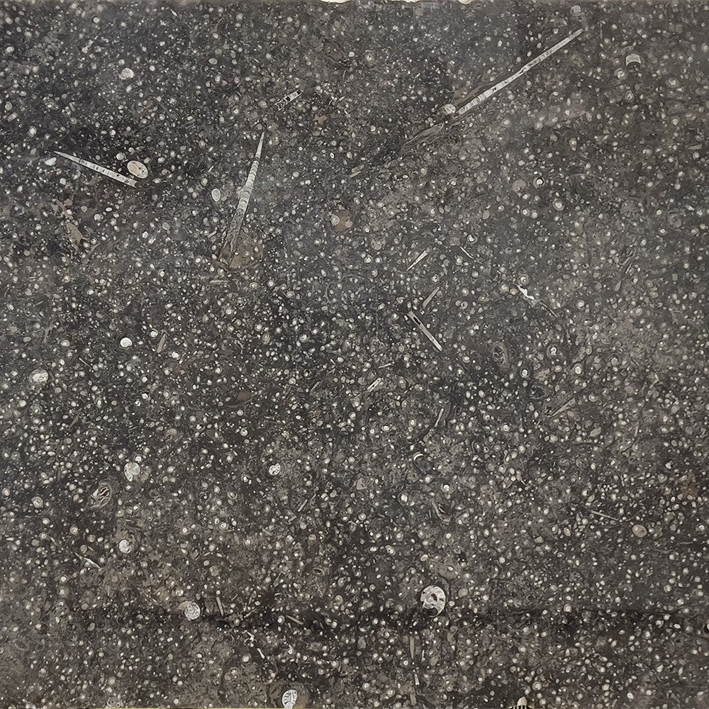 Pietra Di Erfoud - Genrose Stone and Tile