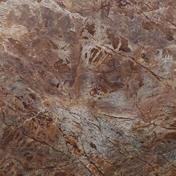 Rain Forest Brown – Genrose Stone and Tile