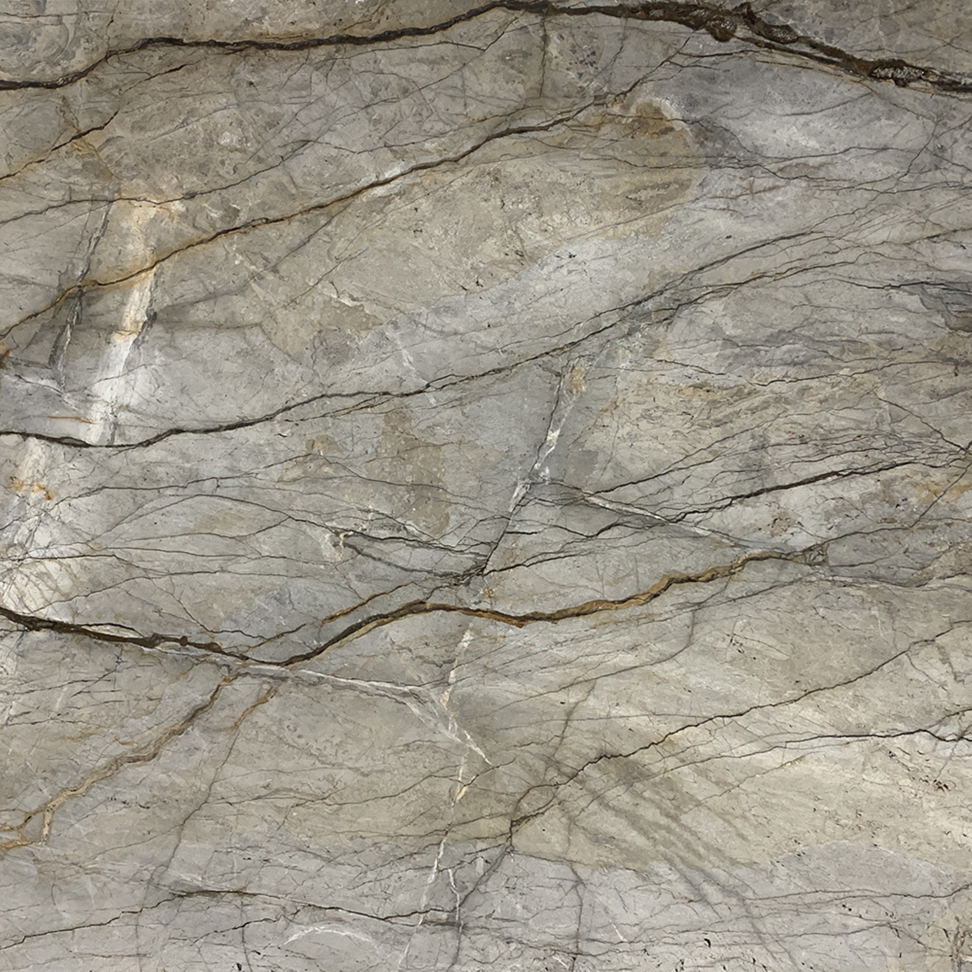 Silver Roots - Genrose Stone and Tile