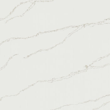 Calacatta Arno – MSI Surfaces