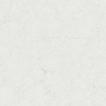 Calacatta Miraggio Cove Honed – MSI Surfaces