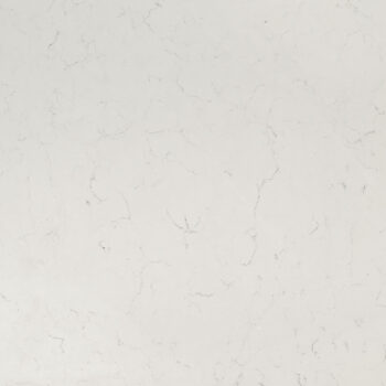Carrara Delphi – MSI Surfaces