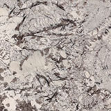 Delicatus White Granite - MSI Surfaces
