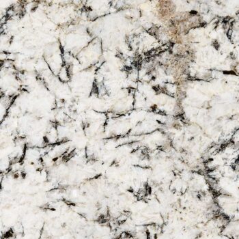 White Glimmer Granite – MSI Surfaces